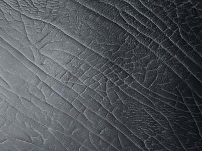 Hippo Black leather tile