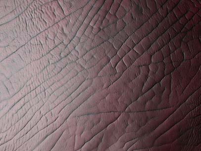 HippoBurgundy leather tile