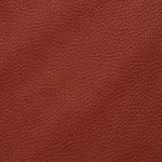 Red leather Tile